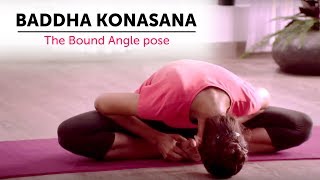 Baddha Konasana  The Bound Angle pose  Steps  Yogic Fitness [upl. by Afirahs76]