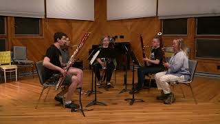 The Stars and Stripes Forever for bassoon ensemble [upl. by Ailesor]