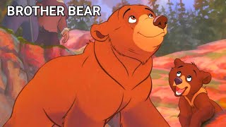 Disney Brother Bear quotBärenbrüderquot Storybook Review [upl. by Newlin812]