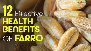 12 Effective Health Benefits Of Farro  Healthspectra [upl. by Reivaz]