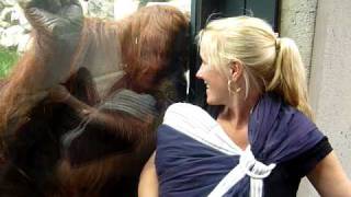 Orang Utan meets Baby Sophia [upl. by Prochoras707]