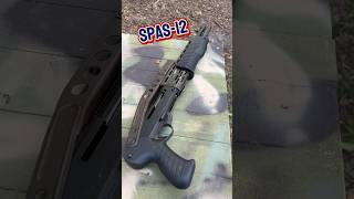 Rare SPAS12 Shotgun in the wild [upl. by Yrtneg169]