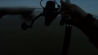 Pêche surfcasting en gironde 15 09 2023 [upl. by Ellemrac364]