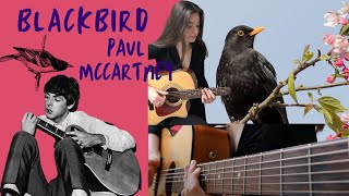 Blackbird  Tash Wolf Cover  Paul McCartney [upl. by Matrona]