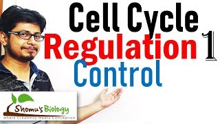 Cell cycle control  Regulation of cell cycle 1 [upl. by Artimid477]