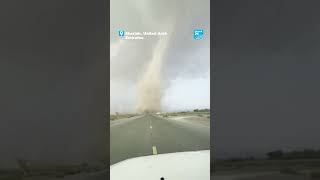 🌪️ Dust tornado swirls lightning bolts strike near road in the unitedarabemirates [upl. by Ward]