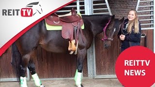 REITTVNews Westernserie Ausreiten alleine Cavalettitraining [upl. by Borman]