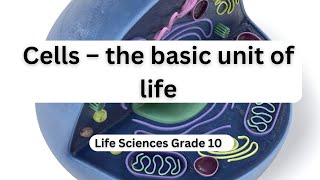 Cells – the basic unit of life II [upl. by Edeline968]