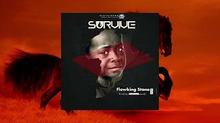 Flowking Stone  Survive Prod By TubhaniMuzik Lyrics Video [upl. by Aerdnaxela851]