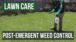 PostEmergent Weed Control A Lawn Care Guide [upl. by Lemrac795]