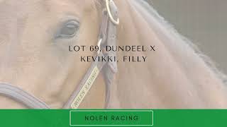 Lot 69 Dundeel x Kevikki Filly from Nolen Racing [upl. by Jehanna]