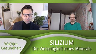 Silizium  Die Vielseitigkeit eines Minerals  Dr Bruno Kugel [upl. by Einnaej]