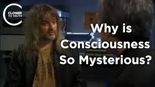 David Chalmers  Why is Consciousness so Mysterious [upl. by Jorgensen]