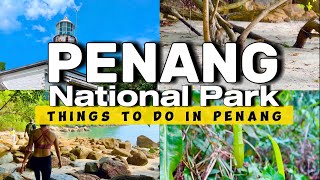 Penang National Park  Things to do in Penang  Malaysia [upl. by Lamonica]