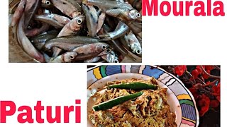 Mourala Macher paturi  kola patay Mourala Macher paturi Recipe [upl. by Ennayar]