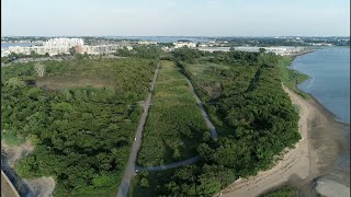 Tales from the Airfield Squantum Point Park Quincy MA [upl. by Ransell975]