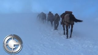 High Country Wyoming Elk Hunt [upl. by Turk]