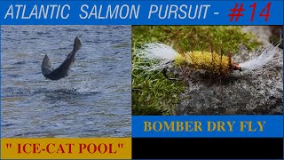 BOMBER DRY FLY FISHING  MIRAMICHI RIVER SYSTEM  ICE CAT POOL 2023 [upl. by Aicaca]