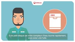 Veolia  comment détecter facilement une fuite deau [upl. by Namrej]