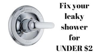 Fix a leaky Delta Singlehandle shower faucet for UNDER 2 [upl. by Annid]