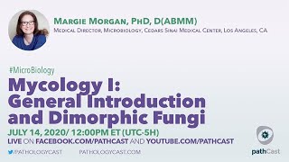 Mycology I General Introduction and Dimorphic Fungi  Dr Morgan Cedars Sinai MICROBIOLOGY [upl. by Angelia]