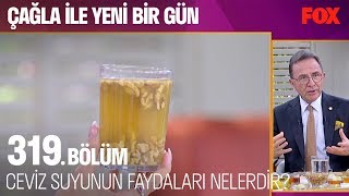 Ceviz suyunun faydaları nelerdir Çağla ile Yeni Bir Gün 319 Bölüm [upl. by Robinson]