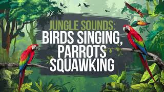 Birds Singing Parrots amp Jungle Sounds  Ultimate Nature SoundFX Collection Sound Effects [upl. by Ainesy]