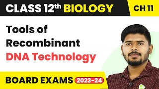 Tools of Recombinant DNA Technology Biotechnology Principles amp Processes  Class 12 Biology 202223 [upl. by Eilyab]