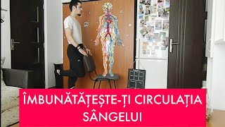 7 exerciții pentru o circulație bună a sângelui în picioare [upl. by Lebiram]