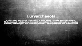 Medical vocabulary What does Euryarchaeota mean [upl. by Ardnosac94]