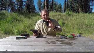 Concealed carry 380 ACP ammo selection [upl. by Jangro]