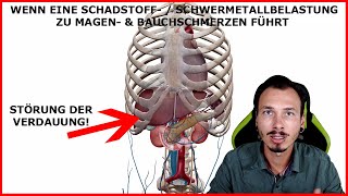 Magenschmerzen  Bauchschmerzen ohne Ursache Die Schadstoffbelastung und ihre Auswirkungen [upl. by Imhsar211]