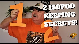 2 Secrets YOU Need to Know to Keep Isopods [upl. by Narcis618]