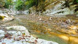 Soothing Sounds Of A Beautiful Mountain River 12 hours of Nature For Deep Sleep and Relaxation [upl. by Luht]