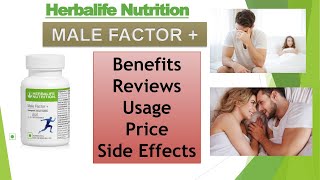 Hindi Herbalife Male Factor Plus  Benefits Reviews Ingredients Uses Side effects Price [upl. by Enilorac]