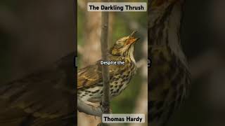 The Darkling Thrush BY Thomas Hardy visualliterature literaryart victorianera poetrylovers [upl. by Ennayar]