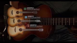 Breedlove Guitars The Play Style System [upl. by Nytsrik]