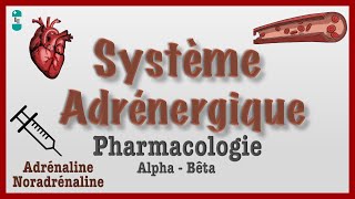 Système Adrénergique  Pharmacologie catécholamines agonistes antagonistes [upl. by Penelope506]