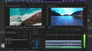 How to Add and Edit Audio in Premiere Pro [upl. by Yroggerg]