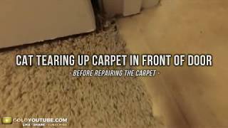 Unedited carpet repair delaminated pet damage at doorway asmr [upl. by Giulia]