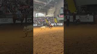 Shad Mayfield with a 772 sec run at Stockyards Championship Rodeo ‌tiedownroping rodeo [upl. by Matejka]