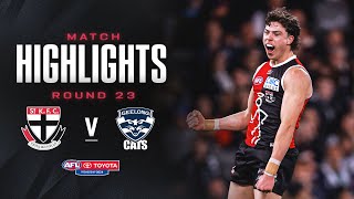 St Kilda v Geelong Highlights  Round 23 2024  AFL [upl. by Idorb]