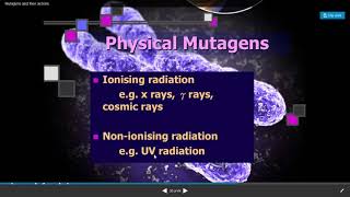 PHYSICAL AND BIOLOGICAL MUTAGENIC AGENTS [upl. by Tsnre]