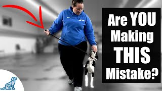 5 Reasons Your Leash Walking Training Isn’t Working [upl. by Garnette]