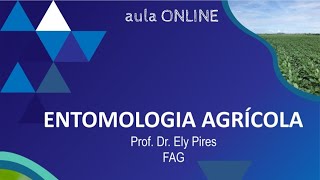 Entomologia Agrícola [upl. by Ryley35]