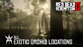 RDR2 All Exotic Orchid Locations For Exotics Quest in Red Dead Redemption 2 [upl. by Gigi]