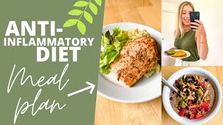 ANTIINFLAMMATORY DIET SUMMER MEAL PLAN amp PDF Guide [upl. by Finah]