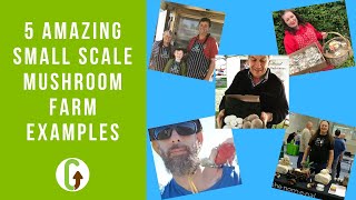 5 Amazing Small Scale Mushroom Farm Examples  GroCycle [upl. by Adnical324]