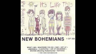 Edie Brickell amp New Bohemians  Its Like This full album 1986 [upl. by Kcir]