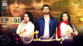 Tumhare Hain Episode – 01 – 23rd January 2017  ARY Digital Drama [upl. by Hyatt]